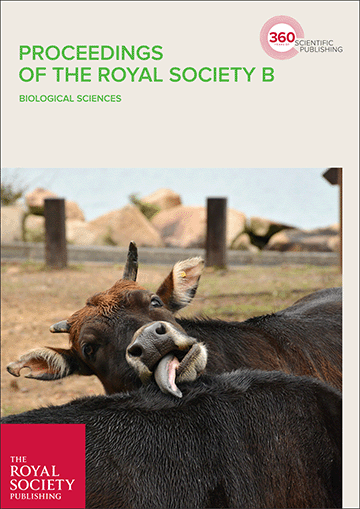 Paper cover